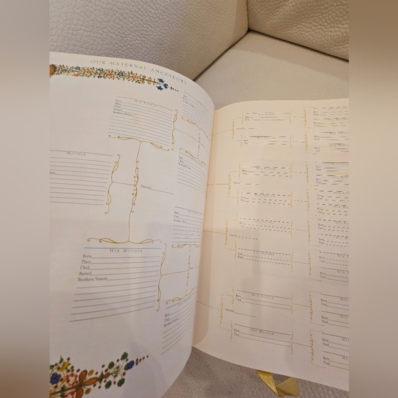 The Holy Bible Book Illuminated Family Edition Illustrated 2000 By Lionheart - Picture 7 of 9